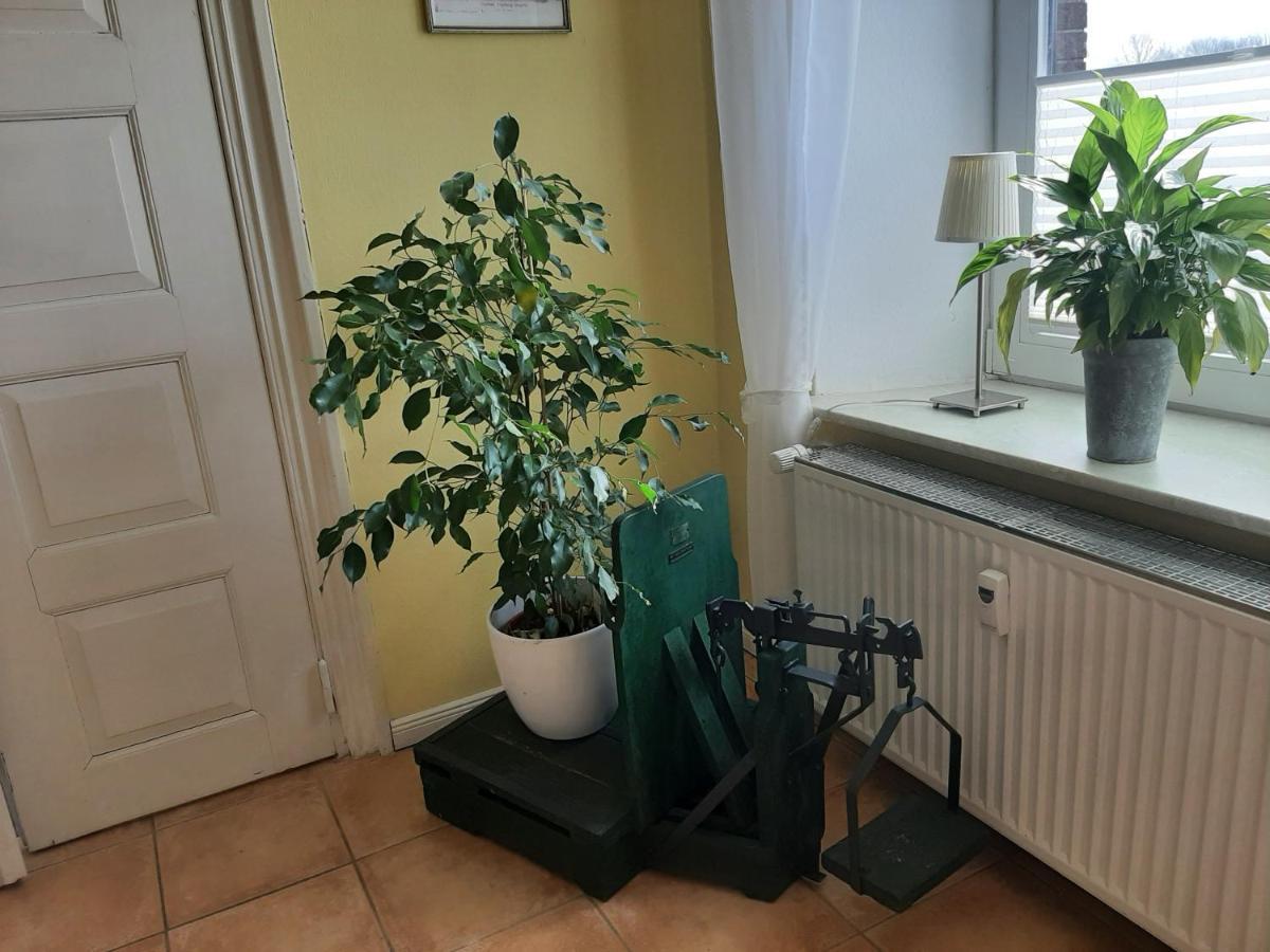 Schoene Ferienwohnung Im Alten Gasthaus In Stoltebuell Eksteriør billede